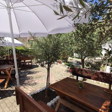 Elvish Garden Boutique B&B Berat Bagian luar foto
