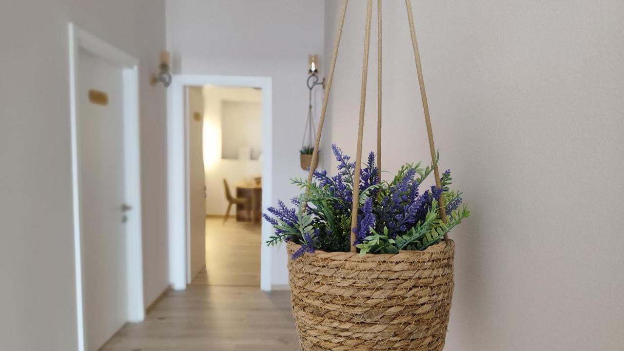 Elvish Garden Boutique B&B Berat Bagian luar foto
